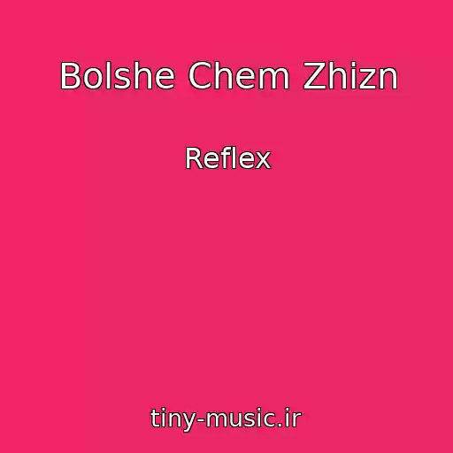 کاور آهنگ Bolshe Chem Zhizn از Reflex