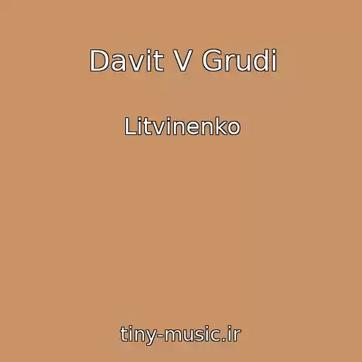 کاور آهنگ Davit V Grudi از Litvinenko