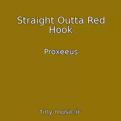کاور آهنگ Straight Outta Red Hook از Proxeeus