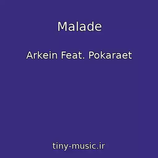 کاور آهنگ Malade از Arkein Feat. Pokaraet