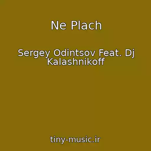 کاور آهنگ Ne Plach از Sergey Odintsov Feat. Dj Kalashnikoff