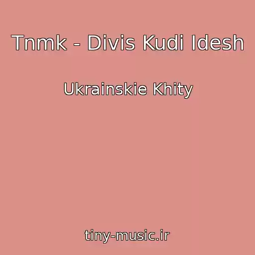 کاور آهنگ Tnmk - Divis Kudi Іdesh از Ukrainskie Khity