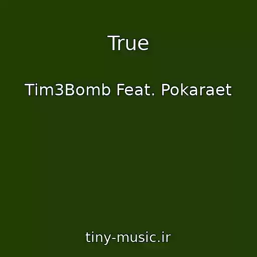 کاور آهنگ True از Tim3Bomb Feat. Pokaraet