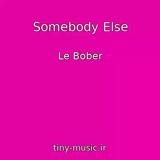 کاور آهنگ Somebody Else از Le Bober