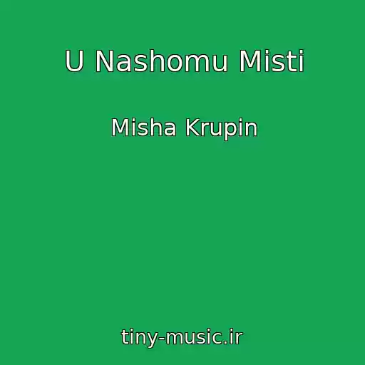 کاور آهنگ U Nashomu Mіstі از Mіsha Krupіn