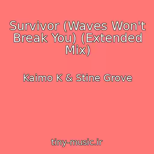 کاور آهنگ Survivor (Waves Won't Break You) (Extended Mix) از Kaimo K & Stine Grove