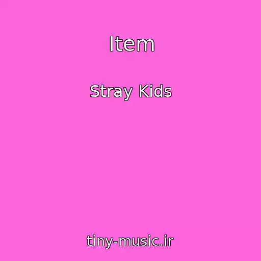 کاور آهنگ Item از Stray Kids