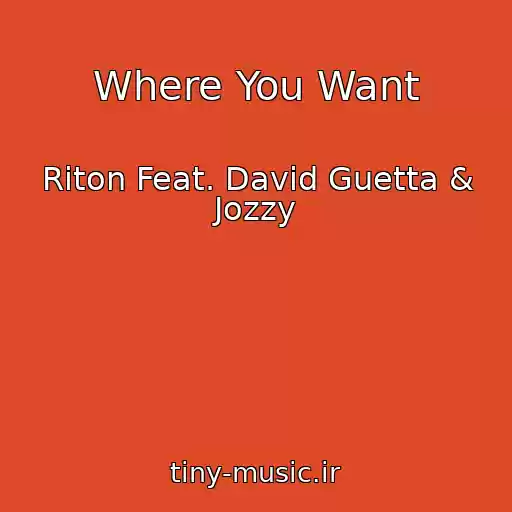 کاور آهنگ Where You Want از Riton Feat. David Guetta & Jozzy