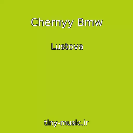 کاور آهنگ Chernyy Bmw از Lustova