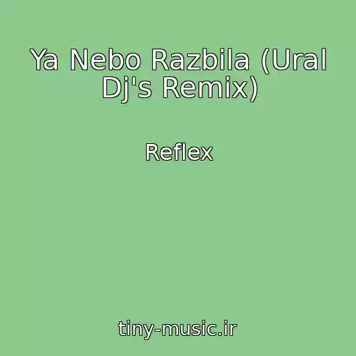 کاور آهنگ Ya Nebo Razbila (Ural Dj's Remix) از Reflex