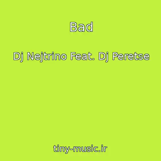 کاور آهنگ Bad از Dj Nejtrino Feat. Dj Peretse
