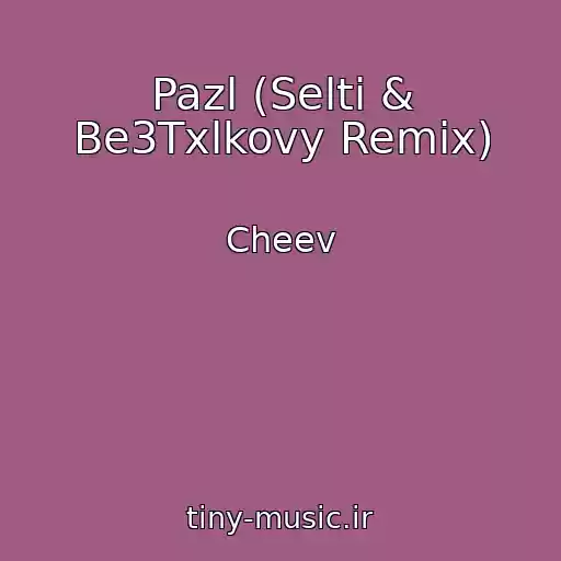 کاور آهنگ Pazl (Selti & Be3Txlkovy Remix) از Cheev