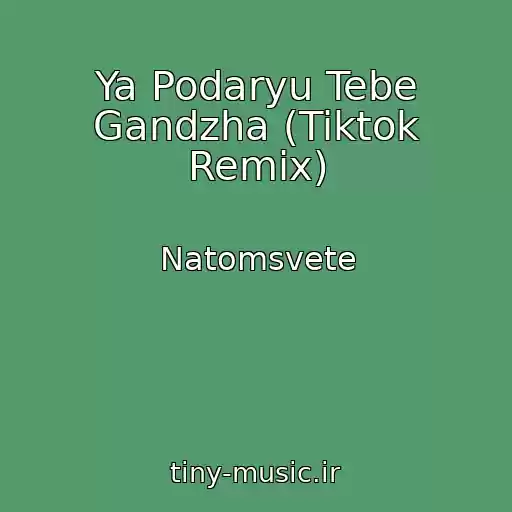 کاور آهنگ Ya Podaryu Tebe Gandzha (Tiktok Remix) از Natomsvete