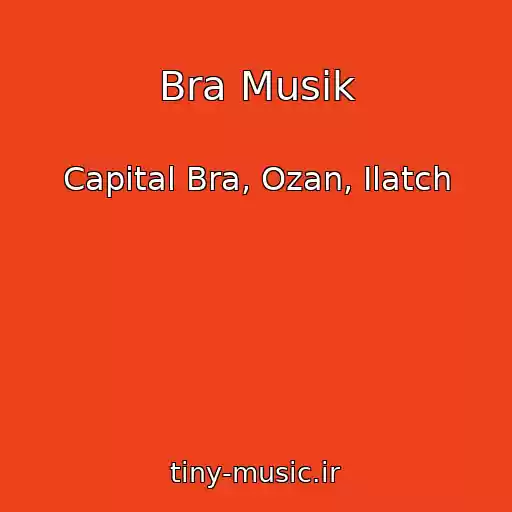 کاور آهنگ Bra Musik از Capital Bra, Ozan, Ilatch