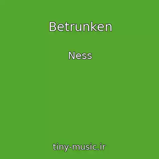 کاور آهنگ Betrunken از Ness
