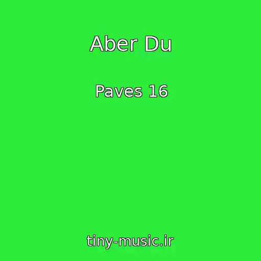 کاور آهنگ Aber Du از Paves 16