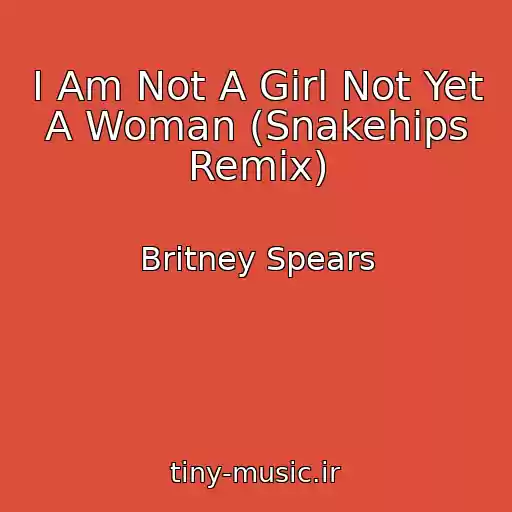 کاور آهنگ I Am Not A Girl Not Yet A Woman (Snakehips Remix) از Britney Spears