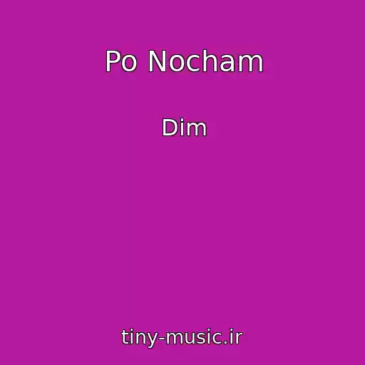 کاور آهنگ Po Nocham از Dim