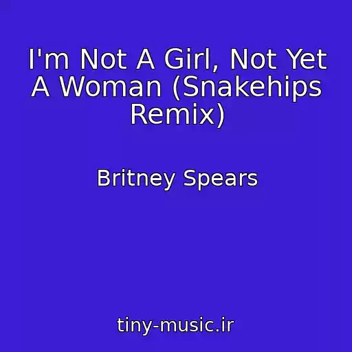 کاور آهنگ I'm Not A Girl, Not Yet A Woman (Snakehips Remix) از Britney Spears