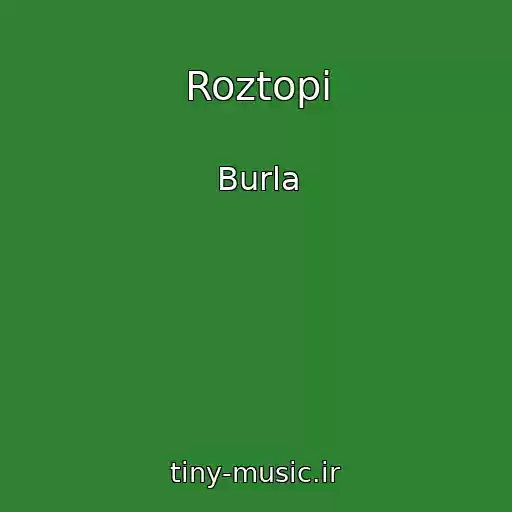 کاور آهنگ Roztopi از Burla