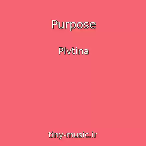 کاور آهنگ Purpose از Plvtina