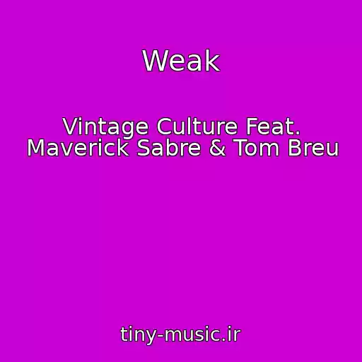 کاور آهنگ Weak از Vintage Culture Feat. Maverick Sabre & Tom Breu