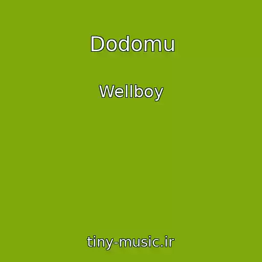 کاور آهنگ Dodomu از Wellboy
