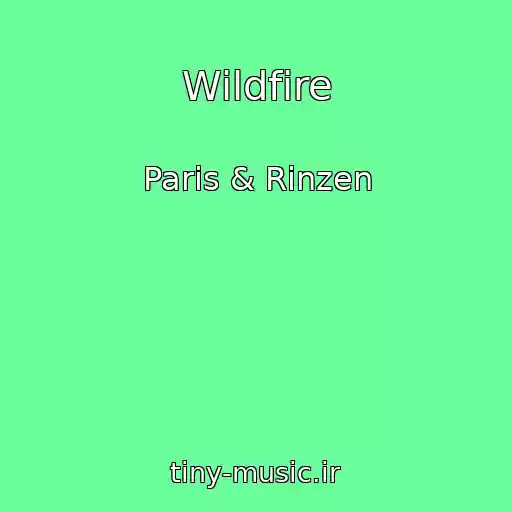 کاور آهنگ Wildfire از Paris & Rinzen