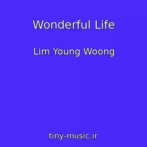 کاور آهنگ Wonderful Life از Lim Young Woong