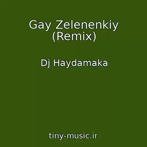 کاور آهنگ Gay Zelenenkiy (Remix) از Dj Haydamaka