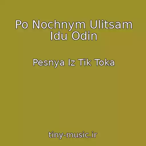 کاور آهنگ Po Nochnym Ulitsam Idu Odin از Pesnya Iz Tik Toka