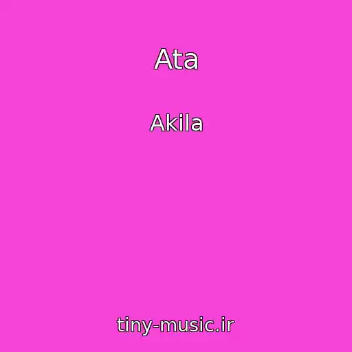 کاور آهنگ Ata از Akila