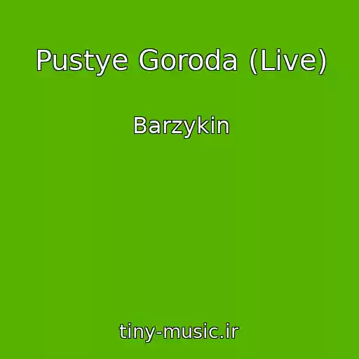 کاور آهنگ Pustye Goroda (Live) از Barzykin