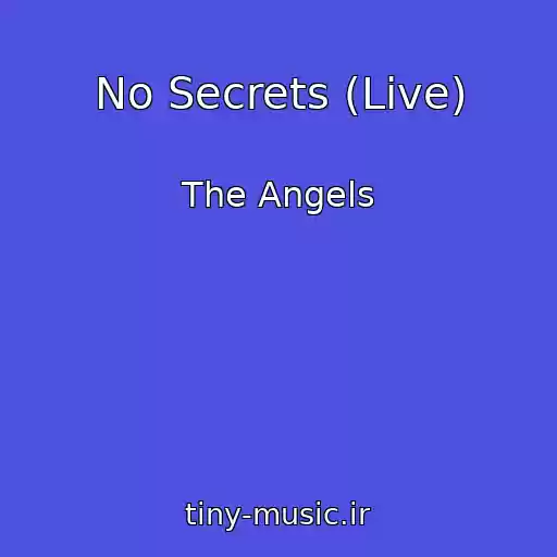 کاور آهنگ No Secrets (Live) از The Angels