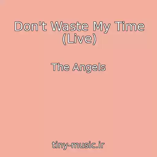 کاور آهنگ Don't Waste My Time (Live) از The Angels