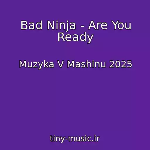 کاور آهنگ Bad Ninja - Are You Ready از Muzyka V Mashinu 2025