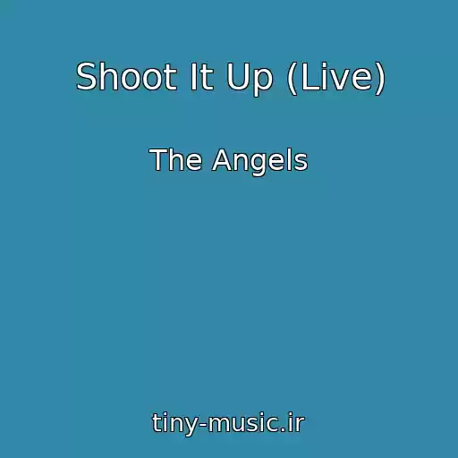 کاور آهنگ Shoot It Up (Live) از The Angels