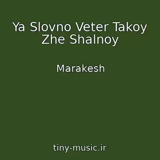 کاور آهنگ Ya Slovno Veter Takoy Zhe Shalnoy از Marakesh