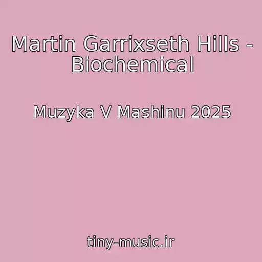 کاور آهنگ Martin Garrixseth Hills - Biochemical از Muzyka V Mashinu 2025