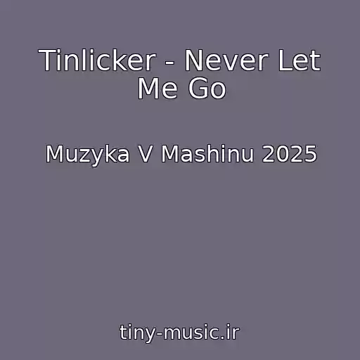 کاور آهنگ Tinlicker - Never Let Me Go از Muzyka V Mashinu 2025
