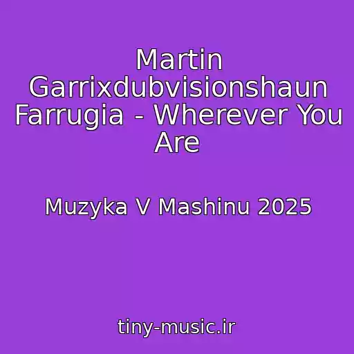 کاور آهنگ Martin Garrixdubvisionshaun Farrugia - Wherever You Are از Muzyka V Mashinu 2025