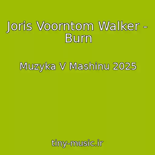 کاور آهنگ Joris Voorntom Walker - Burn از Muzyka V Mashinu 2025