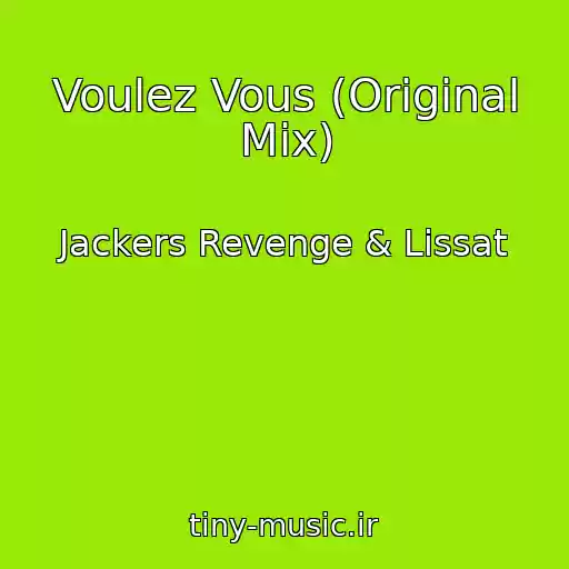 کاور آهنگ Voulez Vous (Original Mix) از Jackers Revenge & Lissat