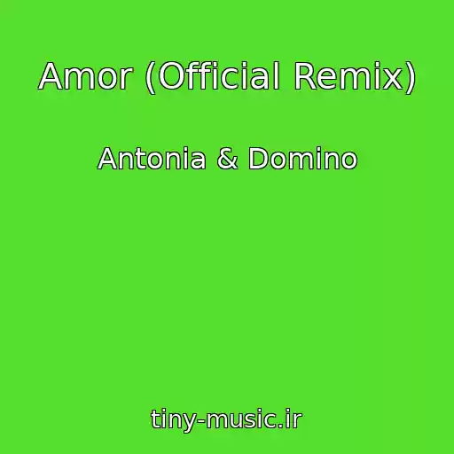 کاور آهنگ Amor (Official Remix) از Antonia & Domino