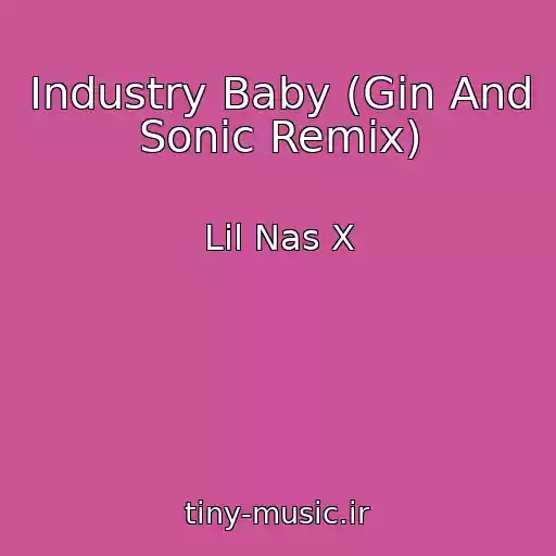 کاور آهنگ Industry Baby (Gin And Sonic Remix) از Lil Nas X