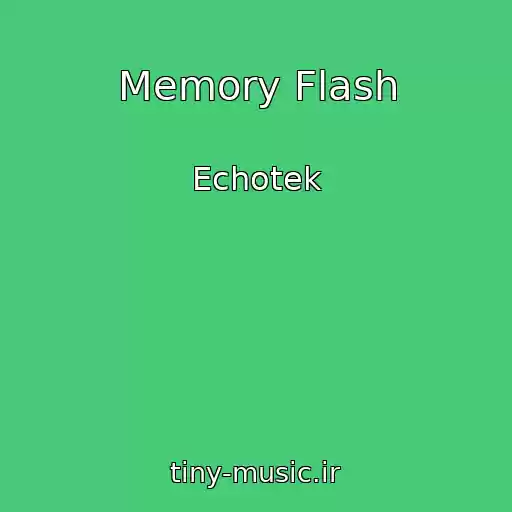 کاور آهنگ Memory Flash از Echotek