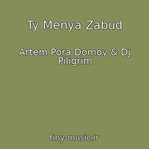 کاور آهنگ Ty Menya Zabud از Artem Pora Domoy & Dj Piligrim