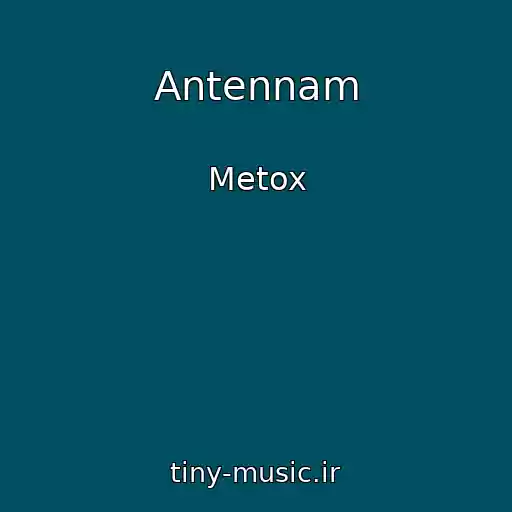 کاور آهنگ Antennam از Metox