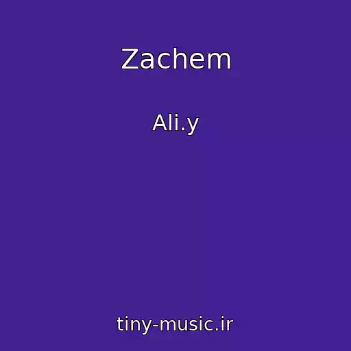 کاور آهنگ Zachem از Ali.y