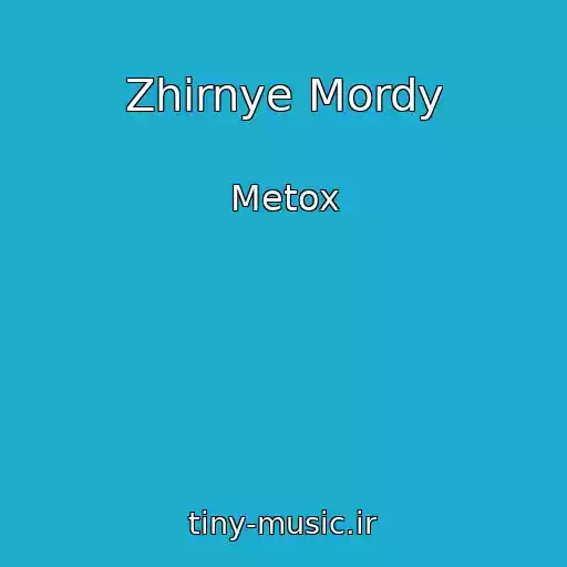 کاور آهنگ Zhirnye Mordy از Metox